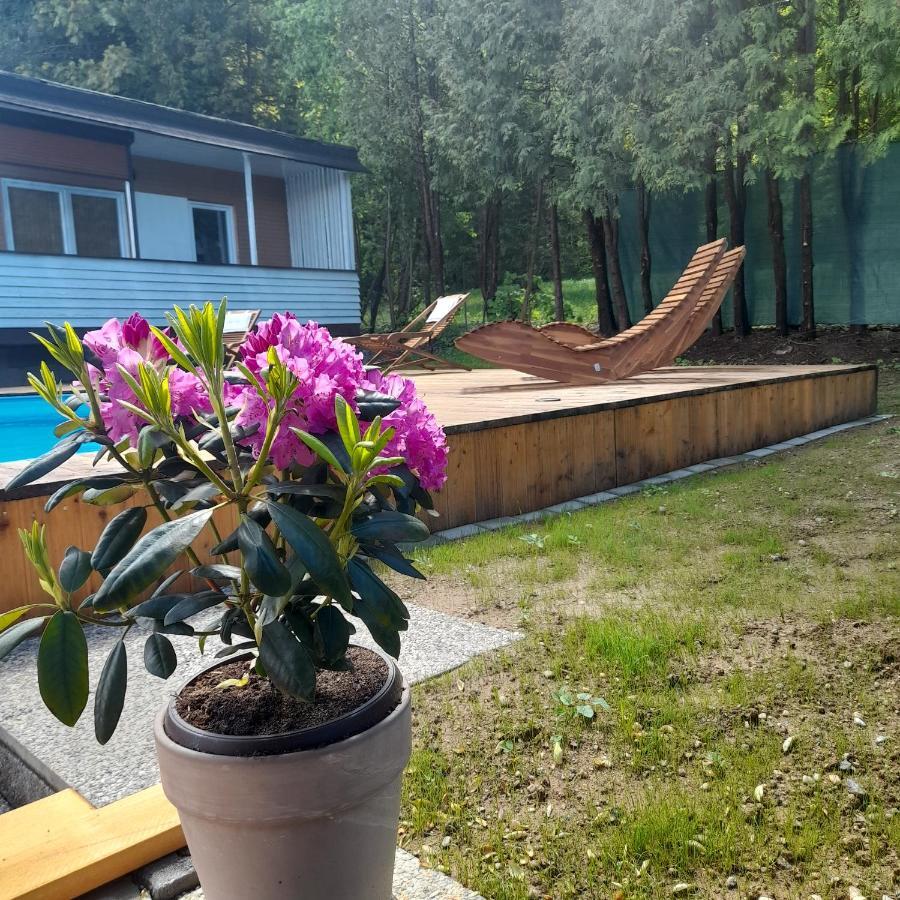 Bungalows Sonnenblume Am Klopeiner See Sankt Kanzian am Klopeiner See Esterno foto