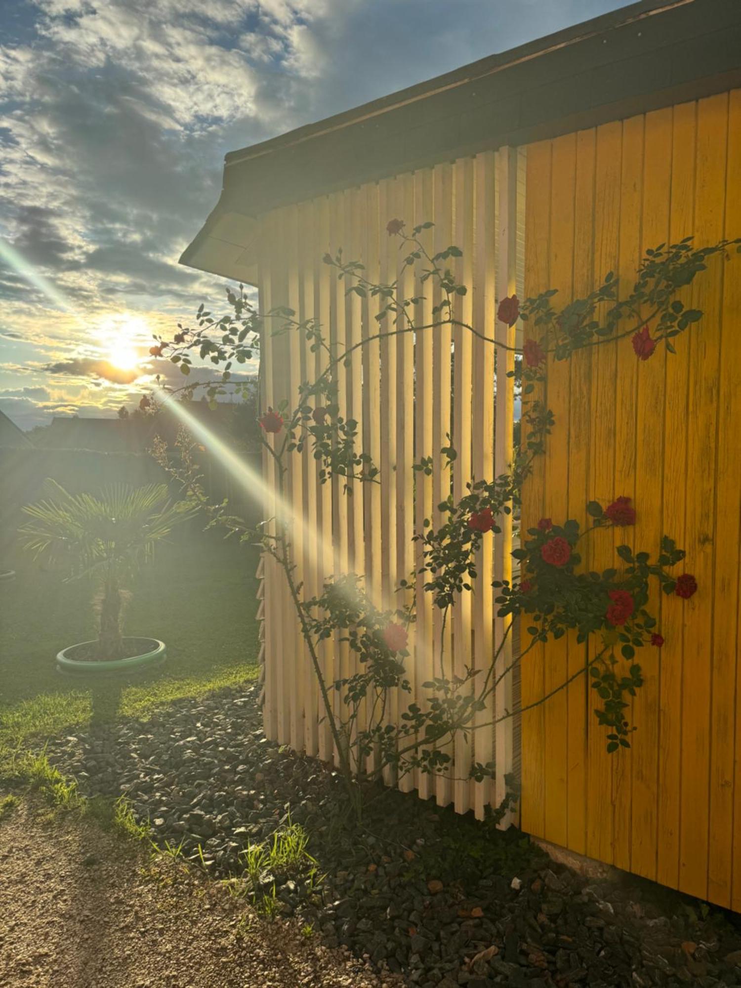 Bungalows Sonnenblume Am Klopeiner See Sankt Kanzian am Klopeiner See Esterno foto